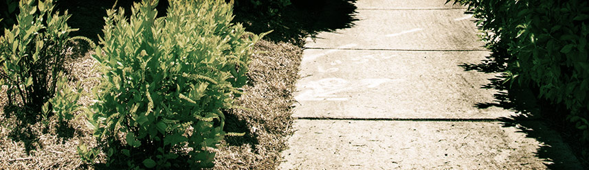 手机号压力测试器